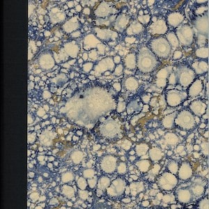May include: A book cover with a marbled design in shades of blue, white, and gold. The pattern features a network of organic shapes and textures. The spine is solid black.