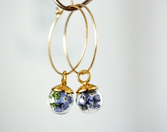 Boucles d'oreilles vraies fleurs bleues, boucles d'oreilles avec myosotis, boucles d'oreilles boules de verre, vraies fleurs bleues, bijoux nature, bijoux terrarium, nature