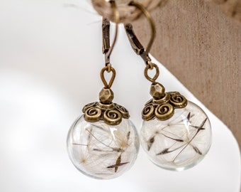 Dandelion earrings, Botanical jewelry, unique earrings handcrafted, hollow glass earrings, real dandelion, gifts for her, vintage earrings