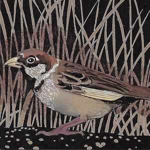 Sparrow in the grass Any Occasion Blank Greetings Card