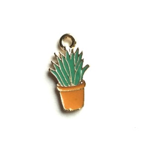Pode incluir: Encanto de ouro com uma planta suculenta em vaso com folhas verdes e um vaso laranja.