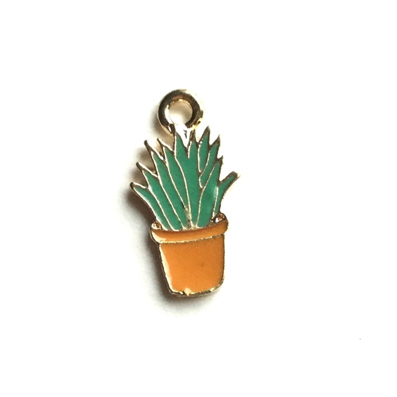 Pode incluir: Encanto de ouro com uma planta suculenta em vaso com folhas verdes e um vaso laranja.