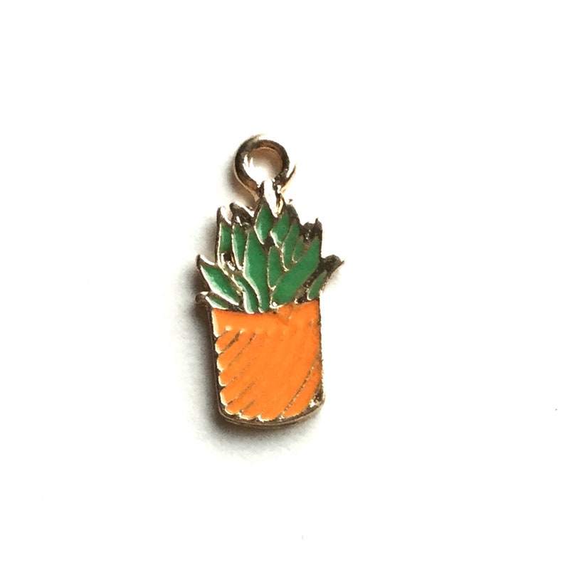 Pode incluir: Encanto de ouro com uma planta suculenta em vaso com folhas verdes e um vaso laranja.