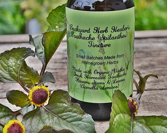 Spilanthes Tincture (Acmella oleracea) Health & Wellness Herbal Relief