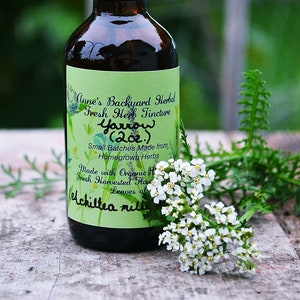 Yarrow Herbal Tincture (Achillea millefolium L.) Health & Wellness for Digestion, Coughs, Colds, Headaches, PMS, UTI and Circulation