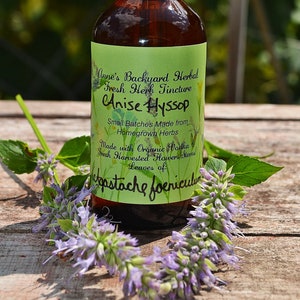 Anise Hyssop Herbal Tincture (Agastache foeniculum) Wellness for Colds, Coughs, Respiratory Irritation, Congestion, Fevers, & Throat