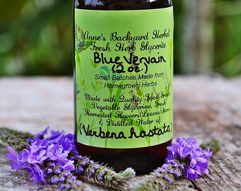 Blue Vervain Herbal Glycerite (Verbena hastata) Wellness and Health for Relaxing, PMS, Nervine, Immunity Booster