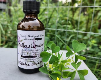 Yellow Woodsorrel (Oxalis stricta) Tincture for Cooling, Coughs, Digestion & Throats