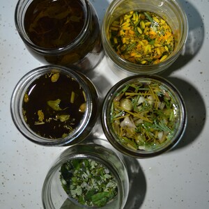 May include: Five glass jars filled with different herbs and flowers, submerged in oil. The jars are arranged in a semi-circle on a white surface.