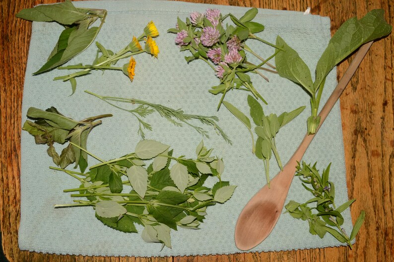 May include: A collection of dried herbs and flowers on a blue towel, including clover, dill, and sage. A wooden spoon is also present.