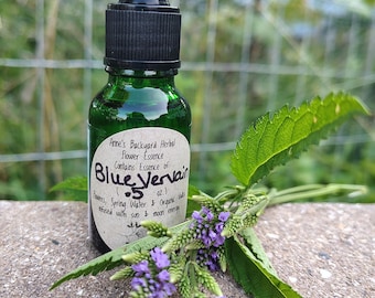 Blue Vervain (Verbena hastata) Flower Essence for understanding, intense or overbearing reactions, patience, moderation, (.5, 1 or 2 oz.)