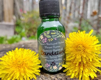 Dandelion Herbal Flower Essence for Soul Balance, Healing, Strength, Energy, Grounding & Guidance and helps with being Overtense