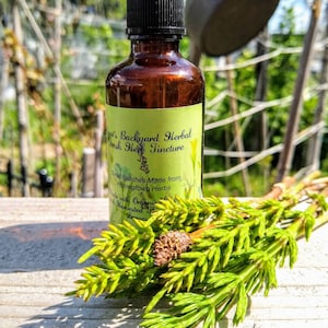 Horsetail Tincture (Equisetum arvense) Silica, Vitamins, Minerals, Nutrients, Calcium, Bone Health, Astringent, Inflammation, Antimicrobial