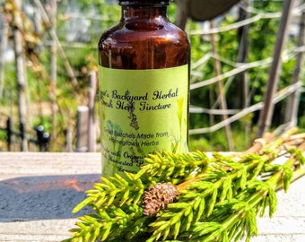 Horsetail Tincture (Equisetum arvense) Silica, Vitamins, Minerals, Nutrients, Calcium, Bone Health, Astringent, Inflammation, Antimicrobial
