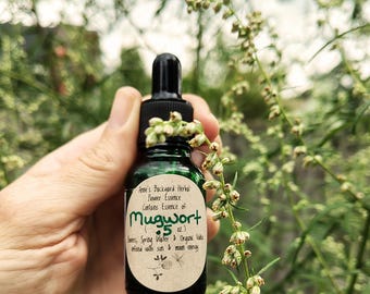 Mugwort Flower Essence for Soul Balance, Psychic & Dream enhancement, Multidimensional Consciousness, Reducing Hysteria  (.5, 1 or 2 oz.)