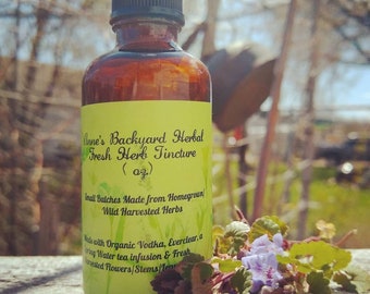 Creeping Charlie/Ground Ivy (Glechoma hederacea) Tincture 4 Coughs, Congestion, Colds, Bronchitis, Sinus Issues, Inflammation & Sore Throats