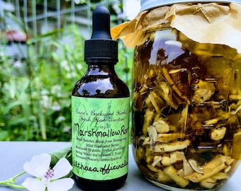 Marshmallow Root (Althaea officinalis) Tincture for Throat, Cough, Respiratory & Digestion