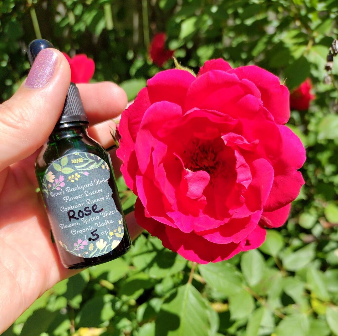 Rose Herbal Flower Essence for Soul Balance, Healing, Sorrow, Shame