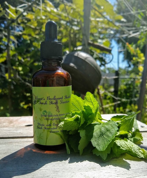 Lemon Balm Tincture (Melissa officinalis) Health & Wellness for Relaxation, Sleep, Nerves, Calming