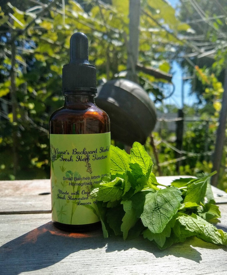 May include: A brown glass bottle with a dropper top and a label that reads "Anne's Backyard Herbal Fresh Herb Tincture". The label also includes the text "Small Batches Made from Homegrown Herbs", "Made with Organic", "Fresh Harvested", and "Leaves of". A bunch of green leaves are in the foreground.