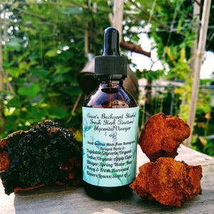 May include: A dark brown glass bottle with a dropper lid, labeled "Anne's Backyard Herbal Fresh Herb Tincture Glycerite Vinegar (0.5 oz)". The label also lists the ingredients: "Small Batches Made from Homegrown Foraged Herbs & Vegetable Glycerin/Organic Vodka/Organic Apple Cider Vinegar/Spring Water/Raw Honey & Fresh Harvested Flowers/Leaves/Stems of". The bottle is sitting on a wooden surface next to a piece of dried, brown, mushroom-like fungus.