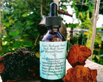 Chaga & Reishi Tincture Double Extract for Vitamins, Stress, Adaptogen, Balance, Preventative Health Wellness Supplement