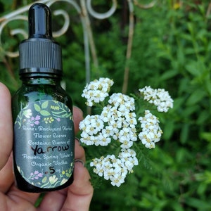 May include: A small green glass bottle with a dropper top and a white label that reads "Anne's Backyard Herbal Flower Essence Contains: Essence of Yarrow Flowers, Spring Water & Organic Vodka. 5 oz."