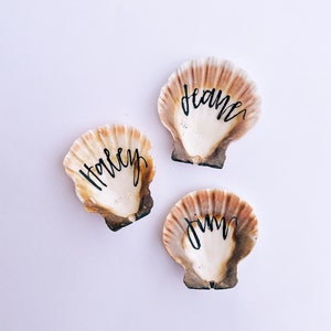 Conchas com nome escrito à mão, cartões de nome, cartões de lugar de concha natural para casamento, cartões de casamento com nome, casamento minimalista
