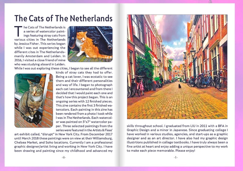 The Cats of the Netherlands ZINE Part 1 4th Printing Etsy