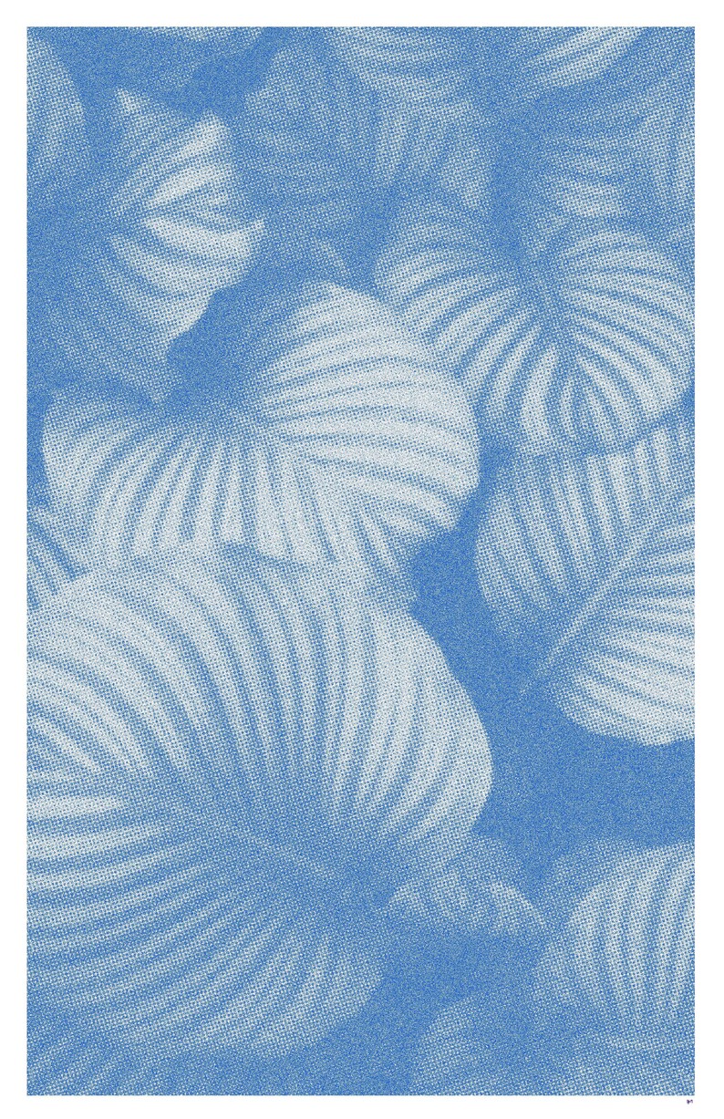 Winter Plants