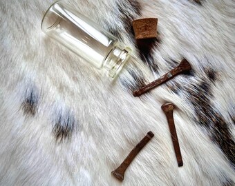 May include: A clear glass vial with a cylindrical body and a wide rim, accompanied by a separate tapered cork stopper. Three small, dark brown, flat-headed metal nails with oxidised surfaces are positioned near the glass container.