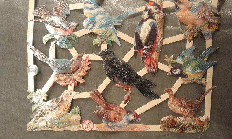 Glossy pictures poetry pictures birds, with glitter 7323, Ernst Freihoff, German Embrossed, Vintage Style, Scrap image 2