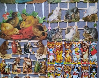 Glossy pictures poetry nostalgia, rats, chickens, chicks, dogs, cats, monkeys, motifs, 7090, 7138, 7357, 7034, 7043, 7380, 7432 Ernst Freihoff