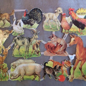 Immagini lucide Poesia Immagini Nostalgia Animali, 7053