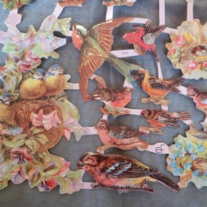 Images brillantes, images poétiques avec et sans paillettes, oiseaux, 7212