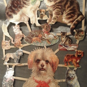 Images brillantes, images poétiques, nostalgie, chats, chiens, avec et sans paillettes, Ernst Freihoff, gaufrage allemand, style vintage, ferraille, 7238