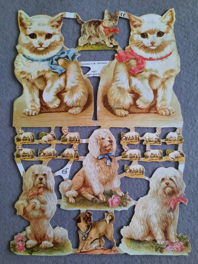 Glanzbilder EF 7207 – Colli Hunde Hundekopf Motive, Ca. 24x15 Cm, Für Deko & Poesiealben
