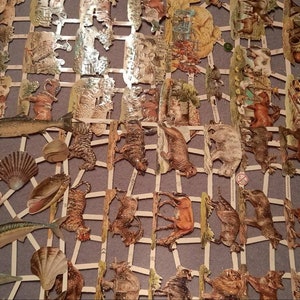 Glanzende afbeeldingen poëzie nostalgie, schelpen, vissen, 6 verschillende motieven met glitter en zonder 7358, 7276, 7247, 7295, 7277,7374 Ernst Freihoff