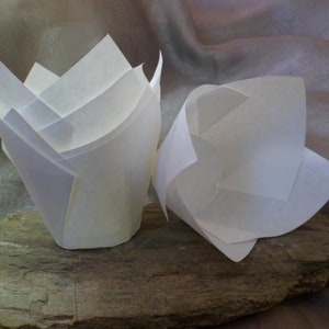 50 o 100 pirottini per Muffin Tulip, forma tulipano, bianchi, 16 x 16 cm