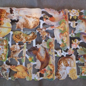 Images brillantes, images poétiques, animaux nostalgiques, chats, poules, poussins, canards, avec paillettes, 7165