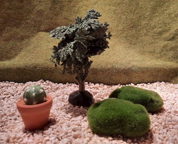 Miniaturen, Deko, Bume, Kaktus, blhender Baum, Modellbau, Baum, Kakteen  im Topf, Moos- Steine, Geldgeschenke - Etsy.de