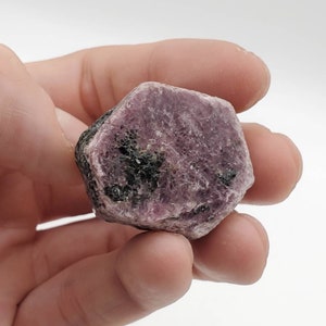 Könnte beinhalten: Ein facettierter, roher Rubin-Edelstein, der in einer Hand gehalten wird. Der Rubin zeigt einen tiefen rosaroten Farbton mit dunkelgrünen und schwarzen Einschlüssen. Der Stein hat eine raue, natürliche Textur und eine hexagonale Form.