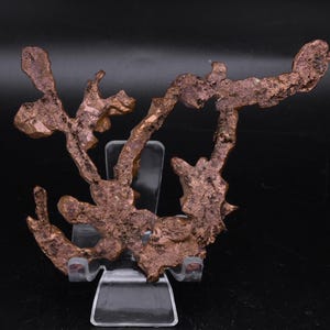 May include: A natural copper specimen with a complex, branching structure. The copper has a rich, reddish-brown color with a textured surface. It is displayed on a clear acrylic stand against a dark background, highlighting its unique form and mineral composition.