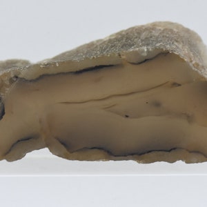 May include: A light brown agate stone with a white and gray banded pattern. The stone is smooth and polished.