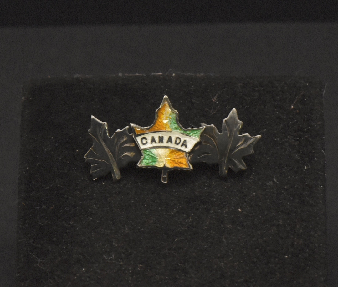 Broche Feuille Vintage En Argent émaillé - Occasion Bon état - Bijou Ancien