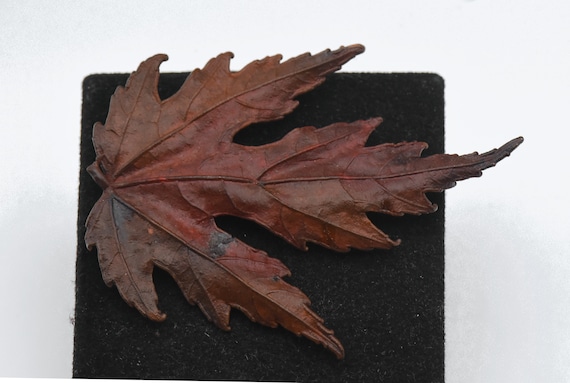 Vintage Copper Enameled Maple Leaf Brooch/Pendant - image 2