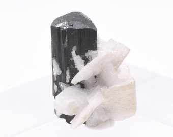 Blue Cap Tourmaline Crystal with Albite and Calcite