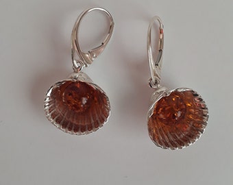Silver Shell Earrings with amber