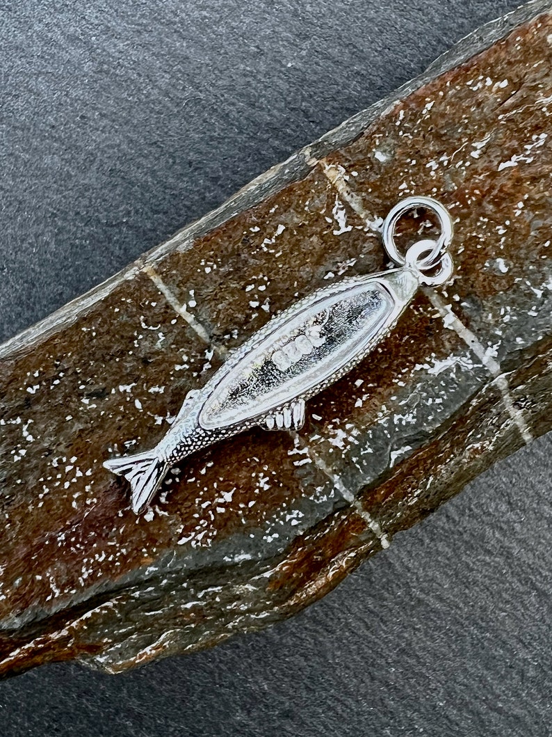 May include: A silver fish charm pendant with a detailed design. The charm is sitting on a brown and gray stone.