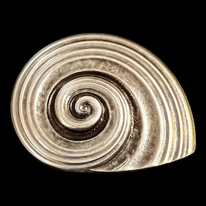 Könnte beinhalten: Ein silberfarbenes, spiralförmiges Objekt mit strukturierter Oberfläche. Das Design weist konzentrische Rippen auf, die ein wirbelndes Muster erzeugen, mit einem dunklen Zentrum. Das Objekt ist vor einem schwarzen Hintergrund platziert.